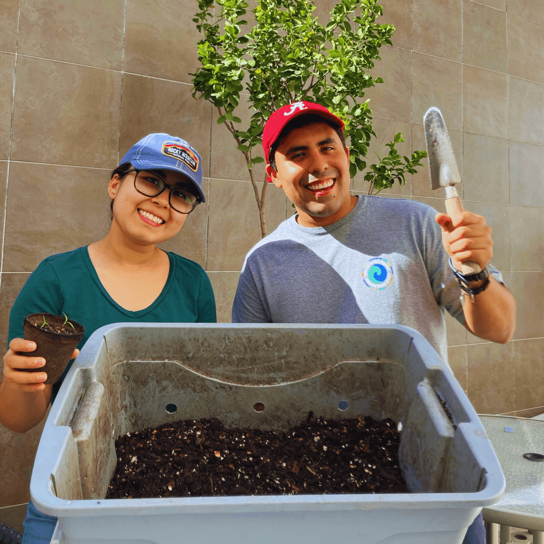 Composta en la ciudad